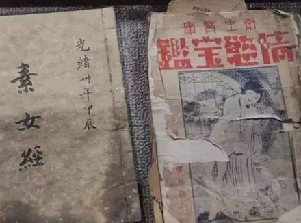 进若蛭步和摆若鳗行具体怎么操作