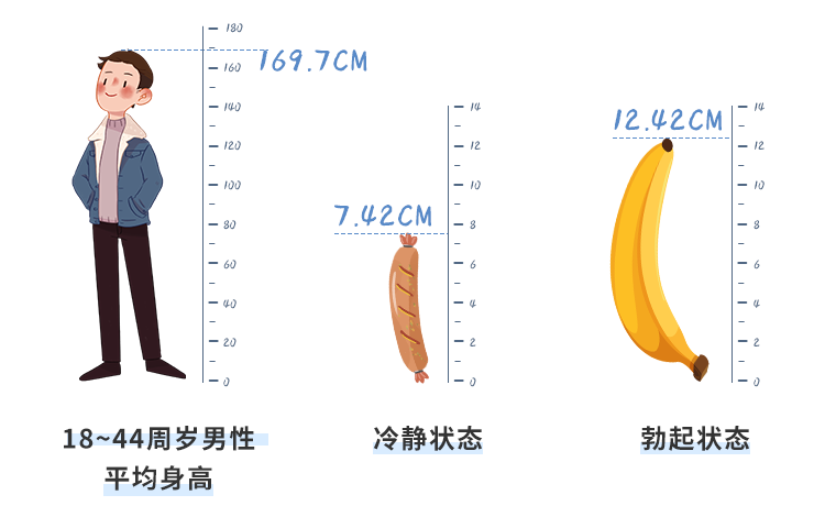 男人那里的尺寸,多少才算正常?