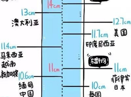 男性标准长度和粗度多少？附世界各国丁丁平均长度