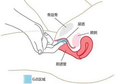 丁丁进去多少厘米女生最有感觉
