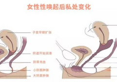 女生能接受多少厘米？18cm就能到底？
