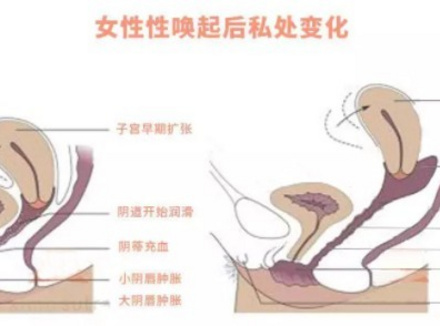 女生能接受多少厘米？18cm就能到底？