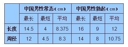 成年男性的长度大概是多少？真实的平均数值是?