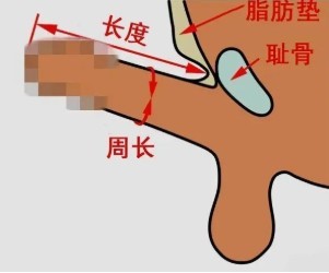 最小安全套多少mm