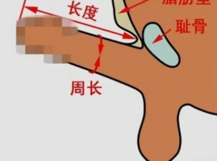 最小安全套多少mm
