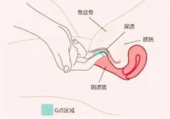 G位大概在中指多少个指节处
