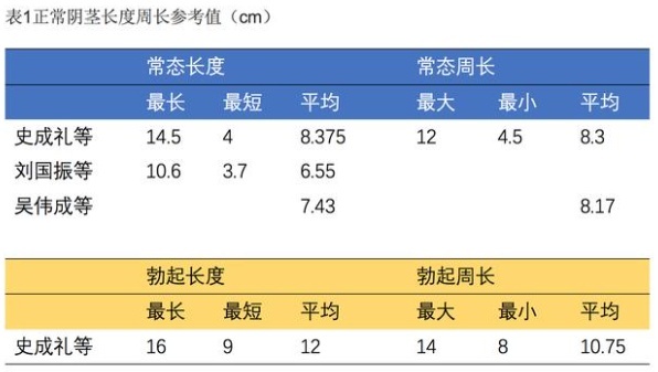 男性周长一般为多少正常