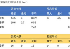 男性周长一般为多少正常