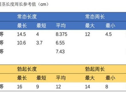 男性周长一般为多少正常