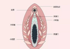 有关女生「小豆豆」的5个生理知识，你知道几个？