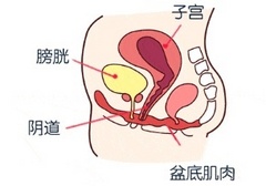 凯格尔运动会紧到几指