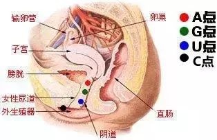 女生的4个GC点位，你知道几个？