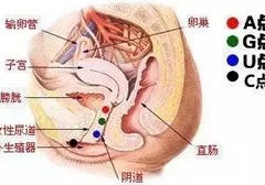 女生的4个GC点位，你知道几个？