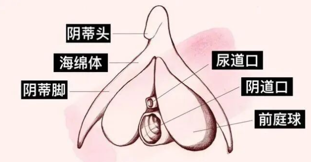 女人更容易高潮的性爱方式,是它!!!