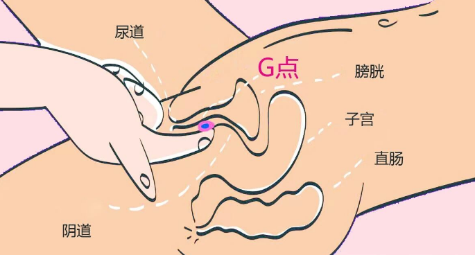 为什么有的女生玩跳蛋没感觉？