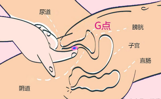 使用入体情趣玩具为什么没感觉