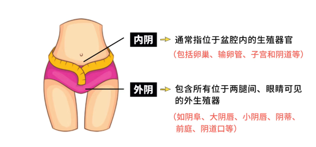 女生私处长这样正常吗?正常的私处应该长啥样