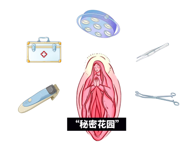 女生私处长这样正常吗?正常的私处应该长啥样