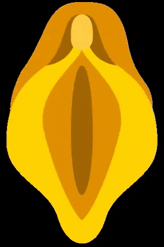 女生私处长这样正常吗?正常的私处应该长啥样