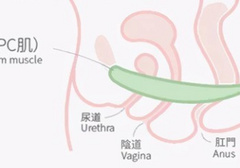 为什么说练盆底肌都是很厉害的女人
