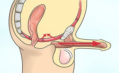 教你一招延长40分钟：科学延时训练实操指南！