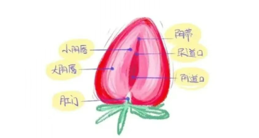 女生如何自己动手奖励自己