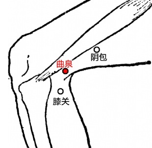 按曲泉真的可以提高男性功能吗
