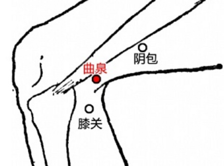 按曲泉真的可以提高男性功能吗