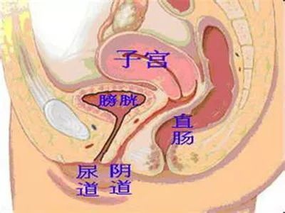 进入的越深就越爽？你真的会玩吗？