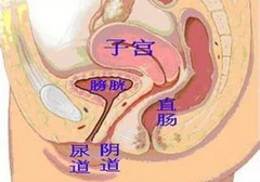 进入的越深就越爽？你真的会玩吗？