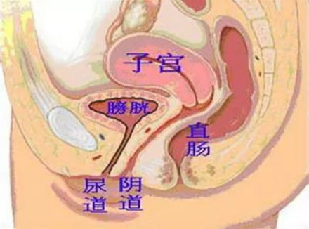 进入的越深就越爽？你真的会玩吗？