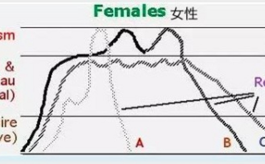你知道为什么gc后不想再继续了吗