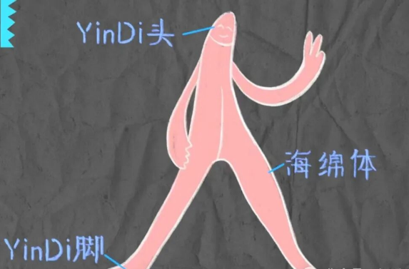 我的豆豆在哪里？怎么揉豆豆