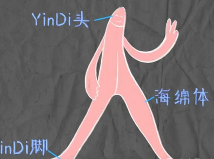 我的豆豆在哪里？怎么揉豆豆