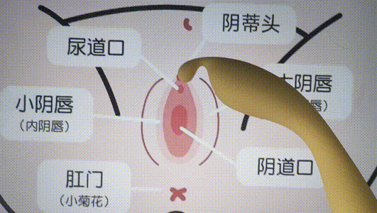 我的豆豆在哪里？怎么揉豆豆