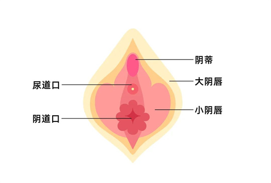 女人的A点U点G点什么意思