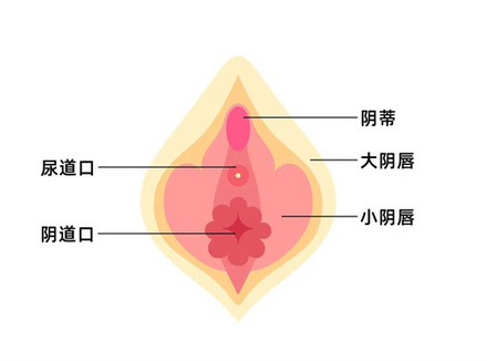 女人的A点U点G点什么意思