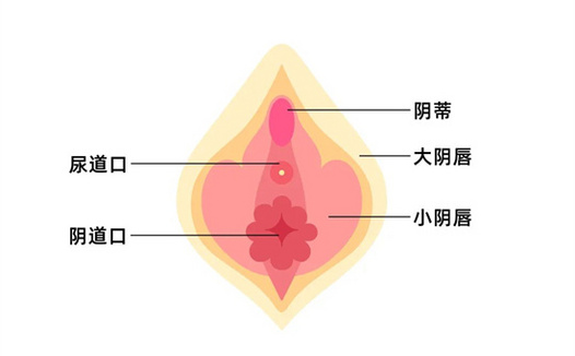 女人的A点U点G点什么意思