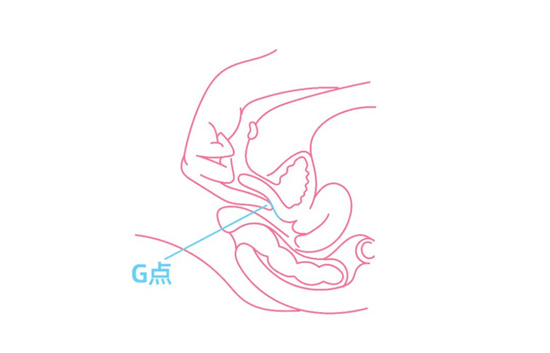女人的A点U点G点什么意思
