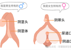 男生排尿射精共用通道，女生却各司其职