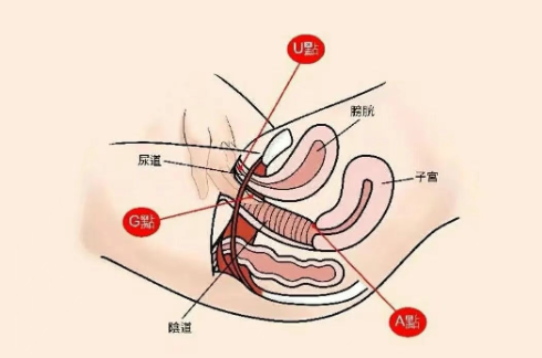 爱爱中私处不敏感应该怎么办