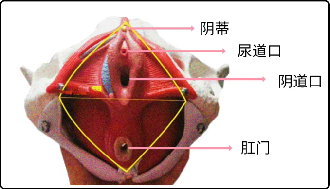 女生私处的秘密，你都知道吗？