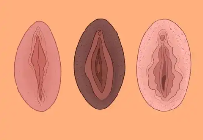 女生私处的秘密，你都知道吗？