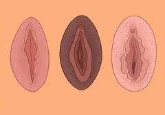 女生私处的秘密，你都知道吗？