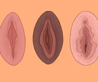 女生私处的秘密,你都知道吗?