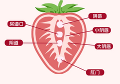 女生如何DIY奖励自己？（手把手教你）