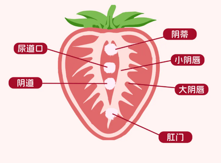 女生如何DIY奖励自己？（手把手教你）
