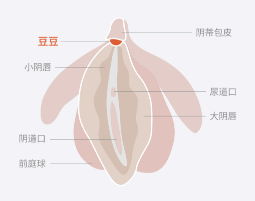 如何玩好女用吮吸情趣玩具?