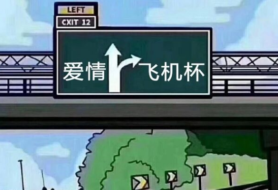 飞机杯和真人到底有那些差别？