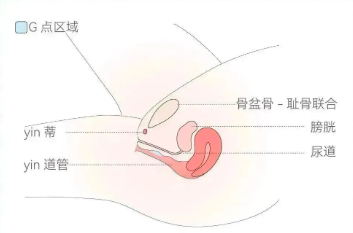 震动棒的玩法教程，全在这篇了（建议收藏）